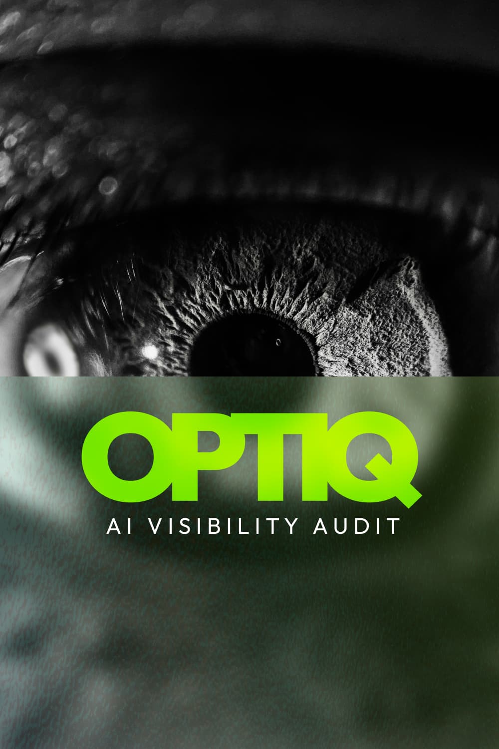 OPTIQ: AI Visibility Audit
